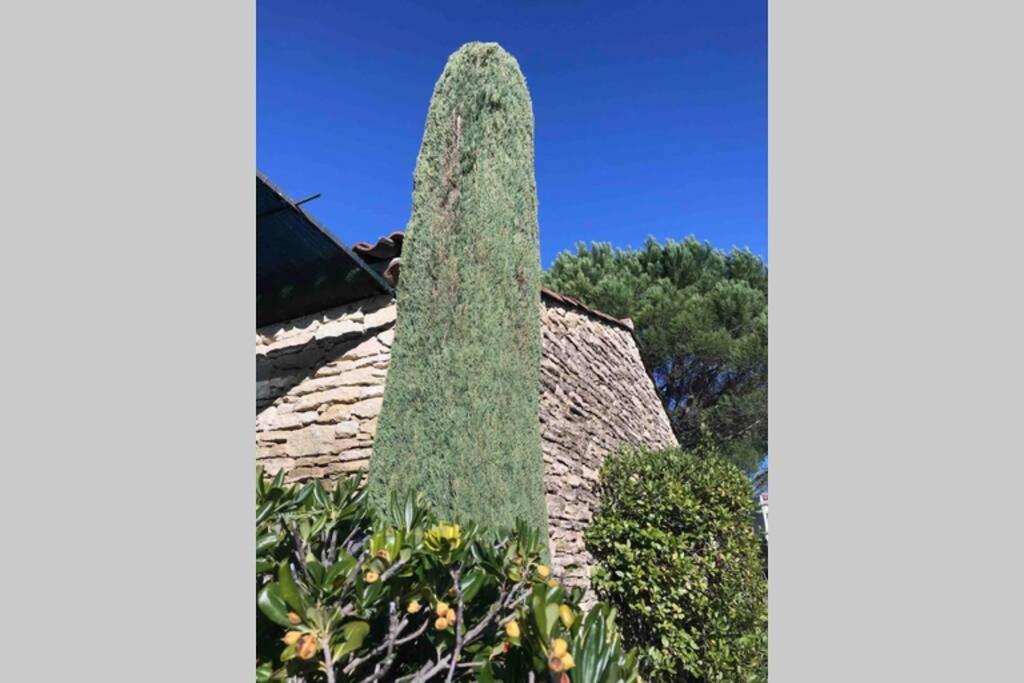 Le Bastidon De L Olivier * Gordes